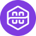 Polygon zkEVM Logo